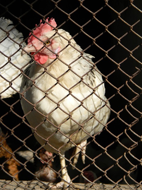 家庭生活 家庭生活